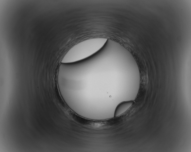 X0000085020662200703050938