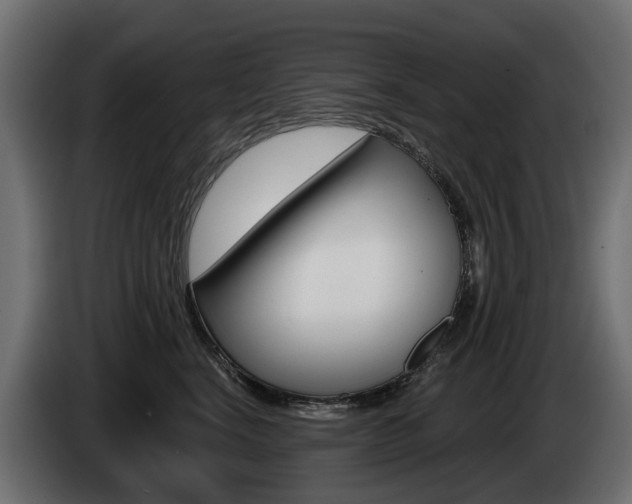X0000085020664200703050938