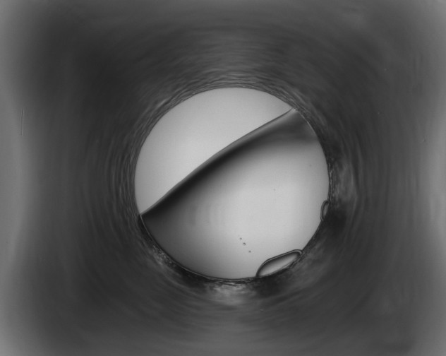 X0000085020669200703050938