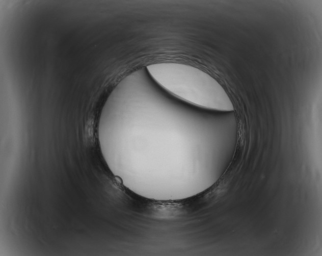 X0000085020670200703050938