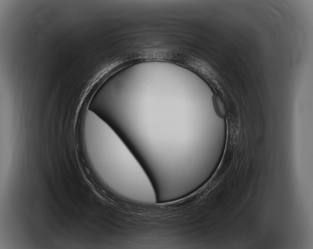X0000085020674200703050938