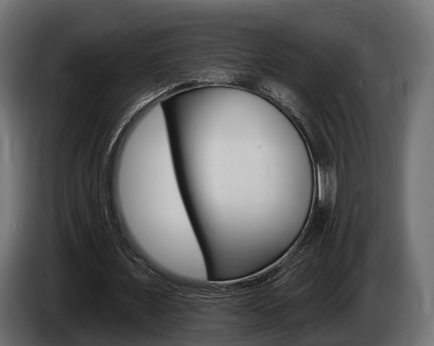 X0000085020675200703050938