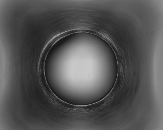 X0000085020676200703050938