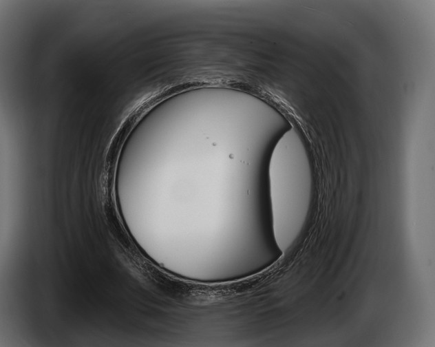 X0000085020679200703050938