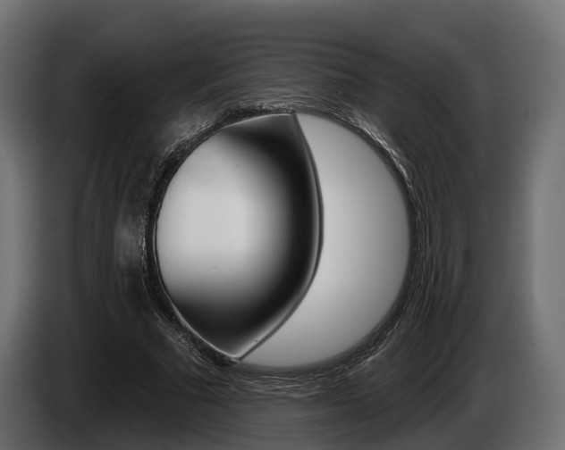 X0000085020681200703050938