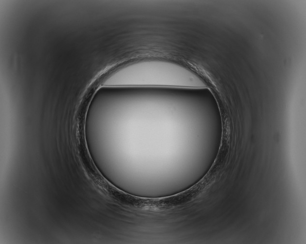 X0000085020684200703050938