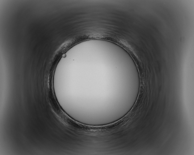 X0000085020686200703050938