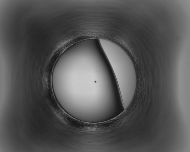 X0000085020688200703050938