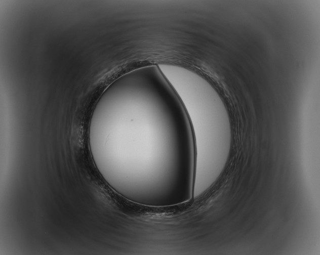 X0000085020689200703050938