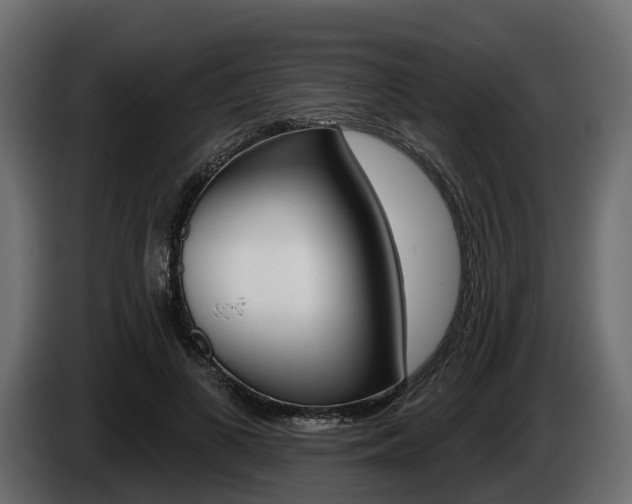 X0000085020693200703050938
