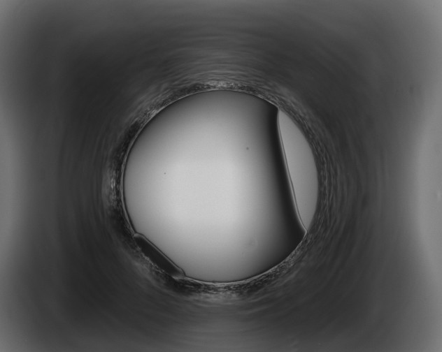 X0000085020696200703050937