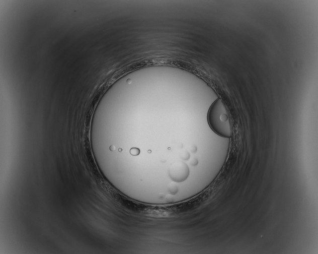 X0000085020698200703050937