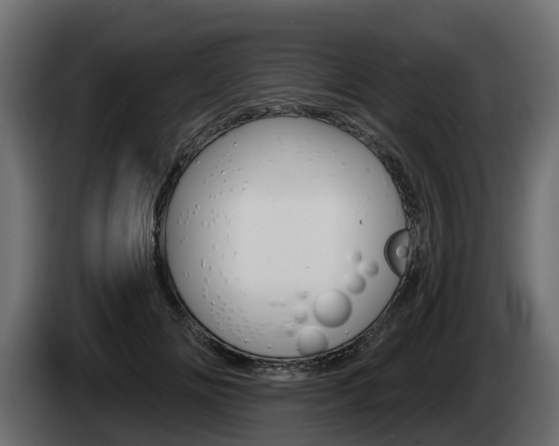 X0000085020702200703050937