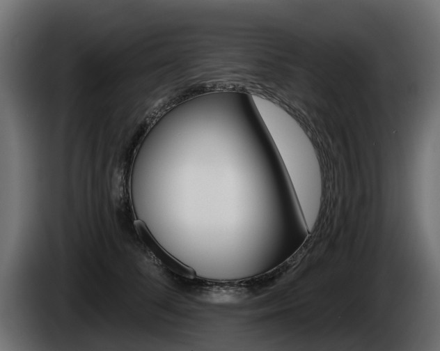 X0000085020708200703050937