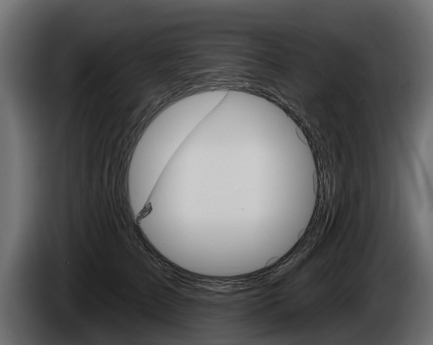 X0000085020709200703050937
