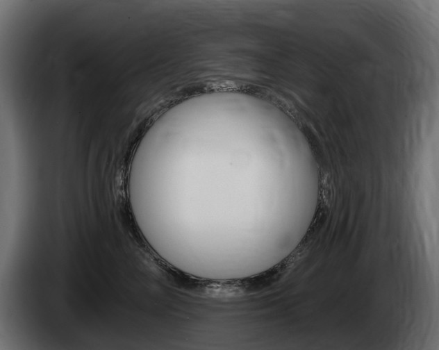 X0000085020714200703050937