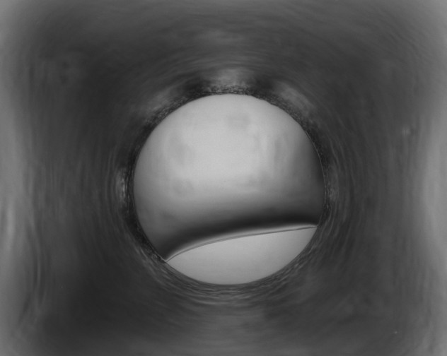 X0000085020715200703050937
