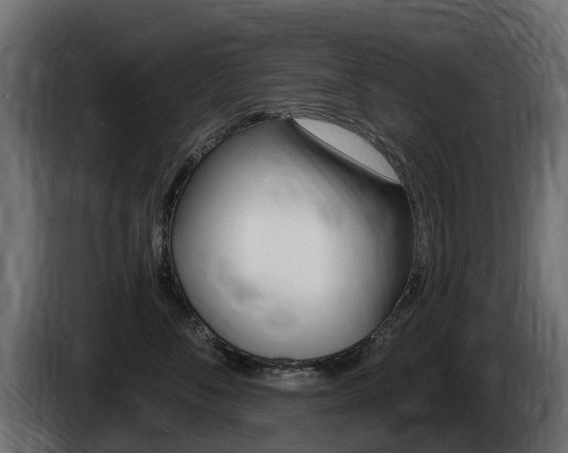 X0000085020716200703050937