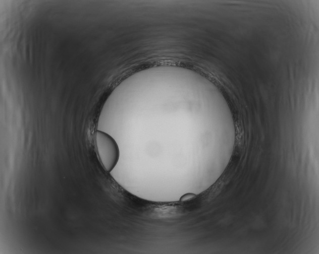 X0000085020718200703050937