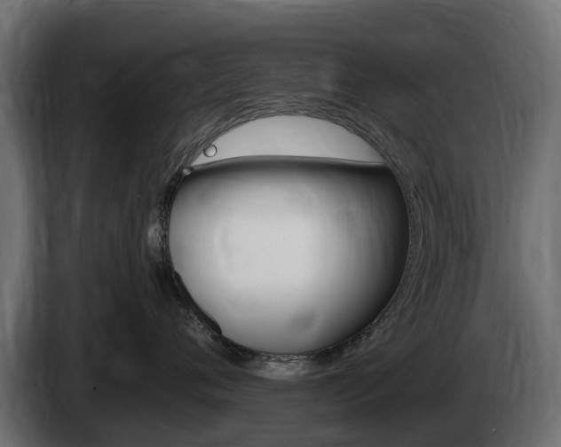 X0000085020720200703050937