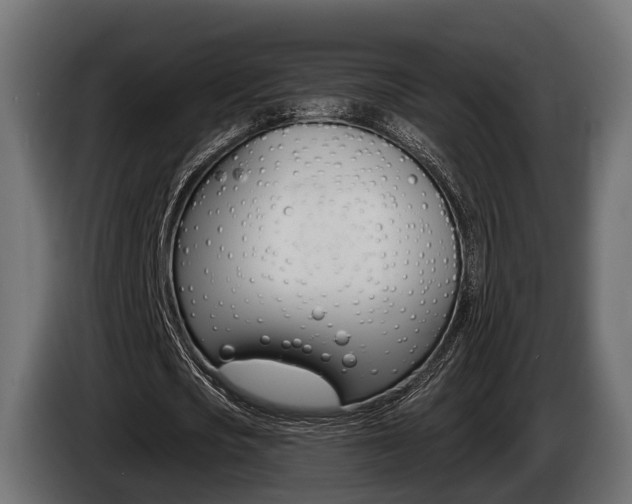 X0000085020721200703050936