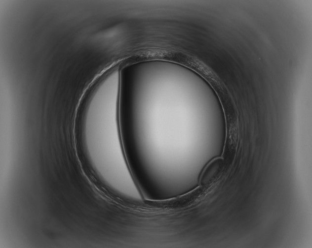 X0000085020722200703050936