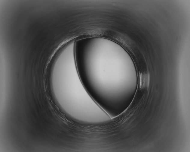 X0000085020723200703050936