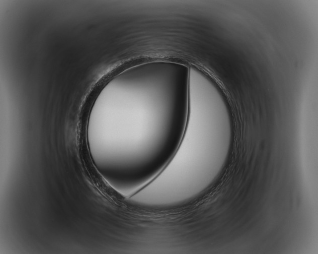 X0000085020724200703050936