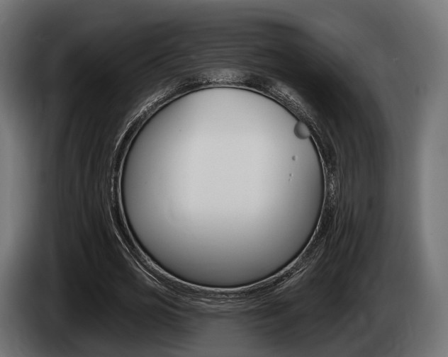 X0000085020725200703050936