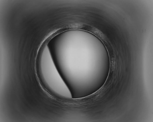 X0000085020726200703050936