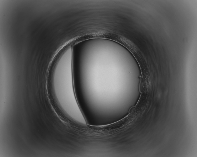 X0000085020728200703050936