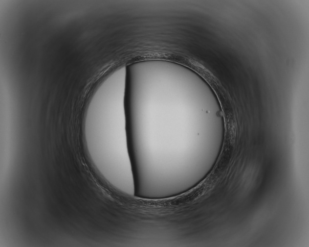 X0000085020729200703050936