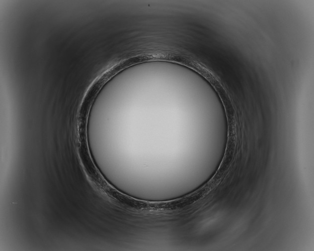 X0000085020730200703050937