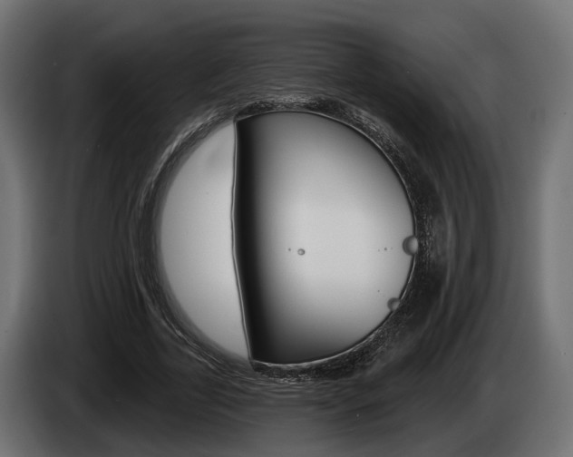 X0000085020731200703050937