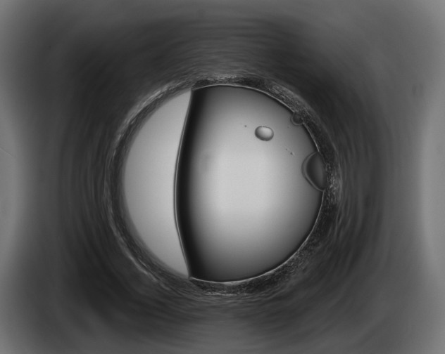 X0000085020732200703050937