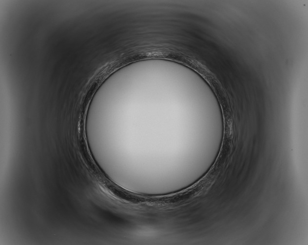 X0000085020733200703050937