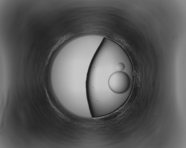 X0000085020734200703050937