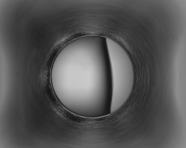 X0000085020736200703050937