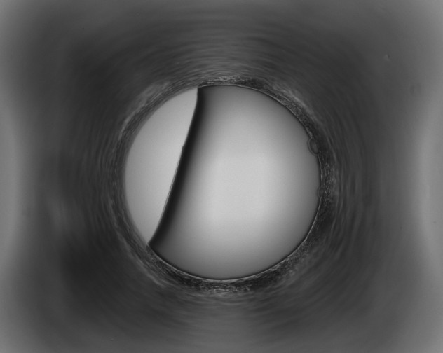 X0000085020738200703050937