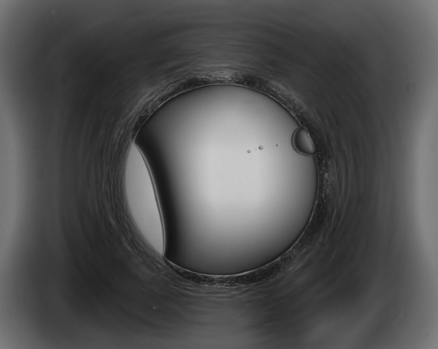X0000085020739200703050937