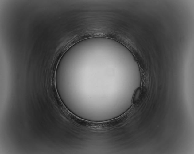X0000085020740200703050937