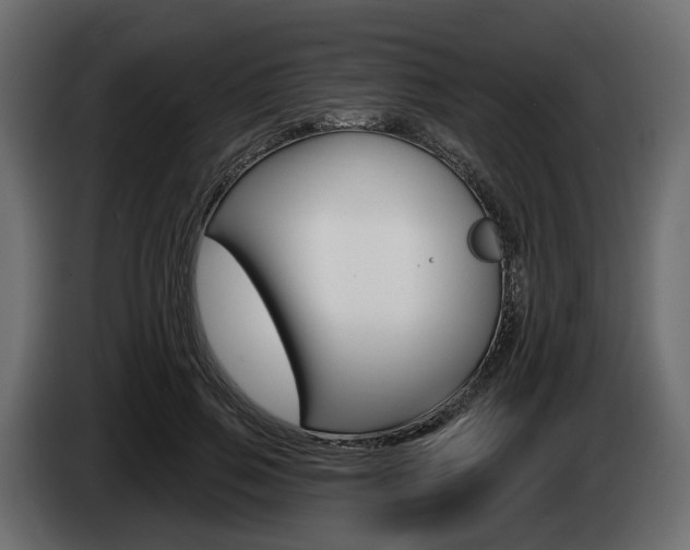 X0000085020741200703050937