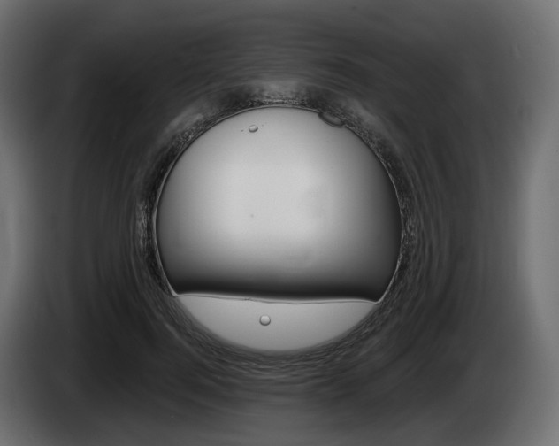 X0000085020744200703050937