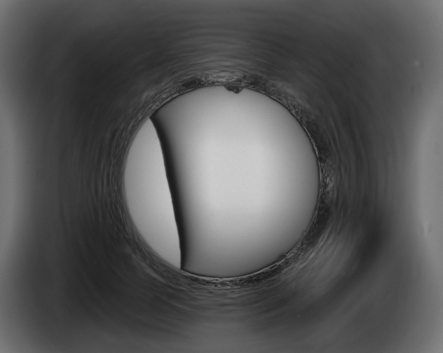 X0000085020745200703050937