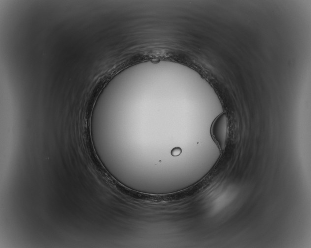 X0000085020747200703050937