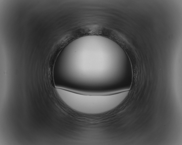 X0000085020748200703050937