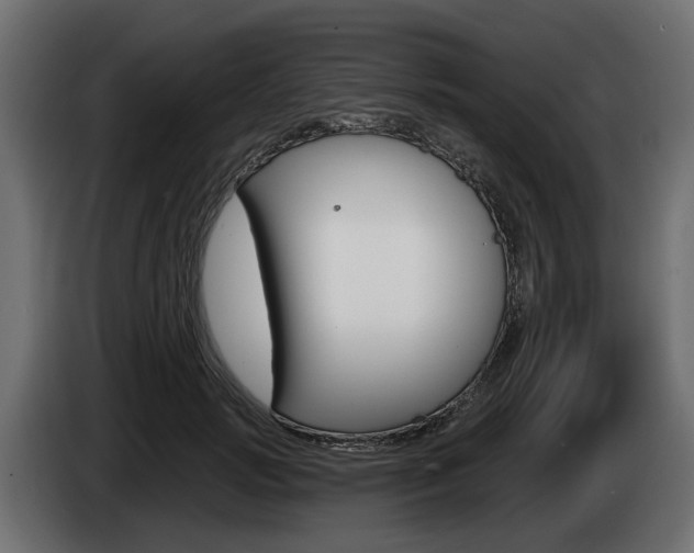 X0000085020749200703050937