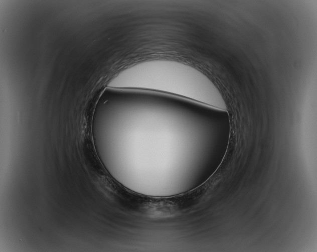 X0000085020752200703050937