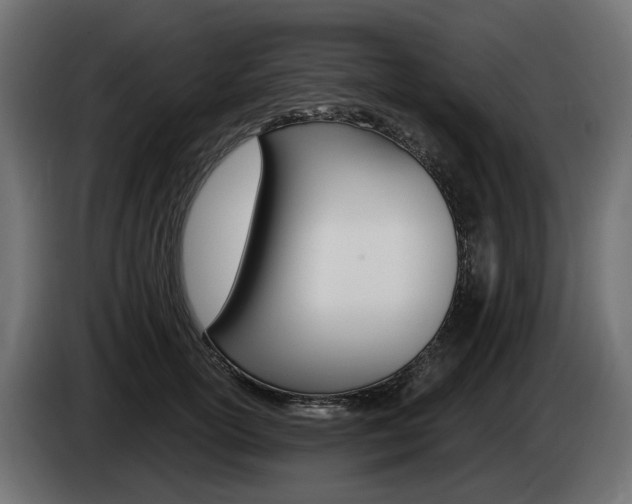 X0000085020754200703050937