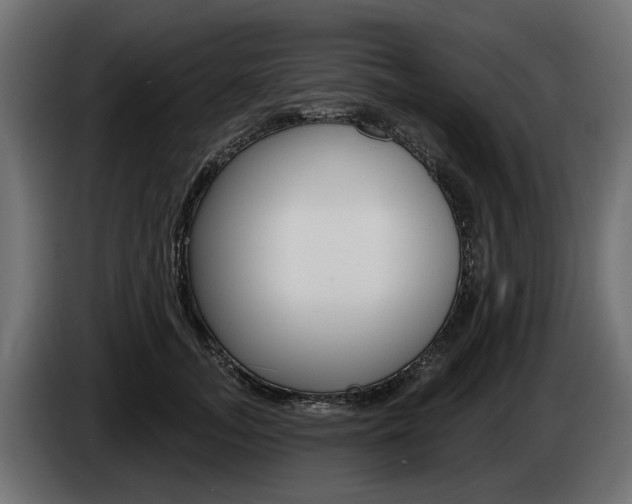 X0000085020755200703050937